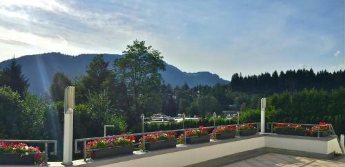 Jack's Lake & Mountain (jlm) Hostel