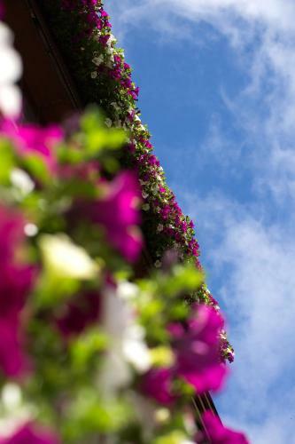 Hotel Garni R�merhof