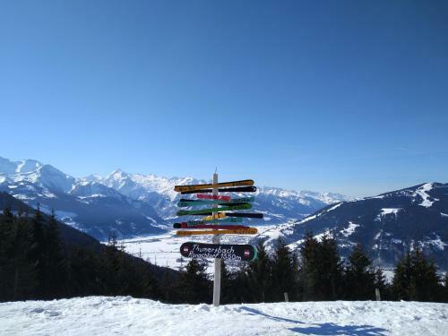Apartamento Appartement Harrer Zell Am See