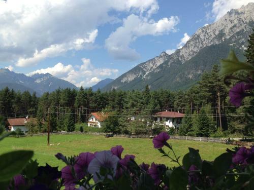 Apartamento Bucherhof