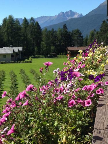 Apartamento Bucherhof