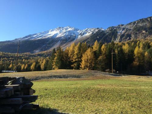 Lodge Bergh�tte Sch�pf