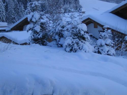 Apartamento Appartement Bergblick