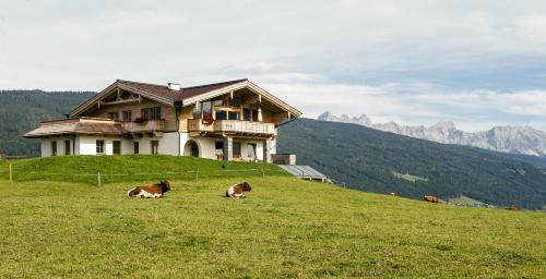 Chalet Winterbauer