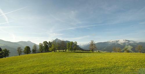 Chalet Winterbauer