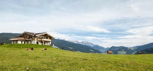 Chalet Winterbauer