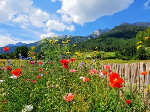 Apartamento Haus Cilli