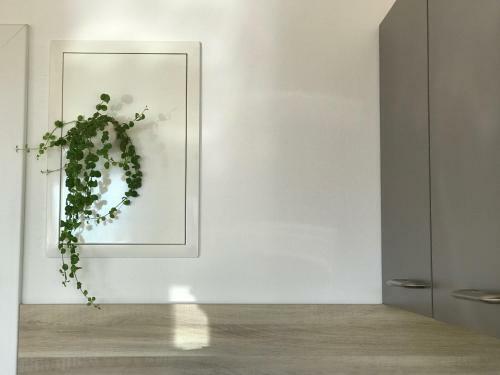 Apartamento Ferienwohnung Mountaintop