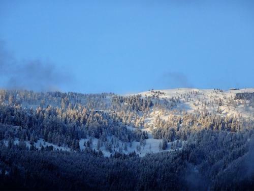 Apartamento Ferienwohnung Mountaintop