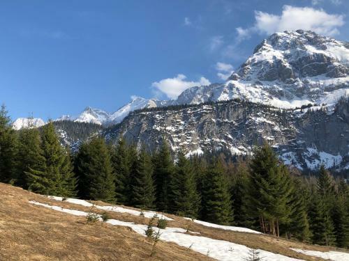 Berghaus Halali - Dein Kleines Hotel An Der Zugspitze