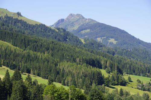 Agroturismo Paulingbauer