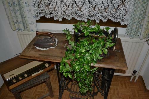 Hostal Gasthaus Zum Platzer