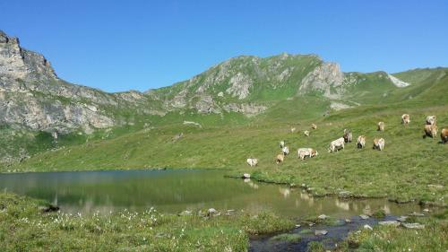 Apartment Zillertal