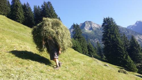 Apartment Zillertal