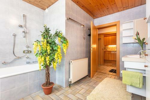 Apartamento Haus Alexandra