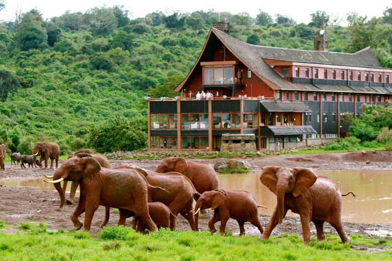 Hotel The Ark Lodge