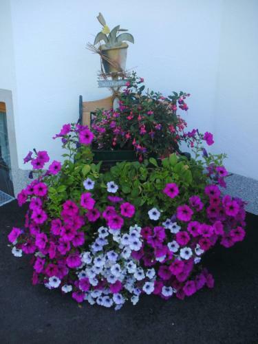 Apartamento Ferienwohnung Biechl-hauser Doris