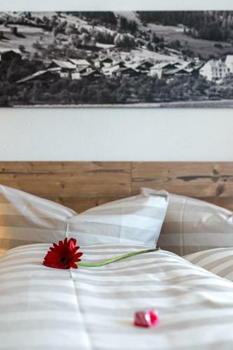 Hostal Haus Kirschner