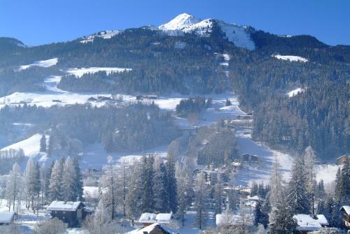 Apartamento Appartementhaus Gastein