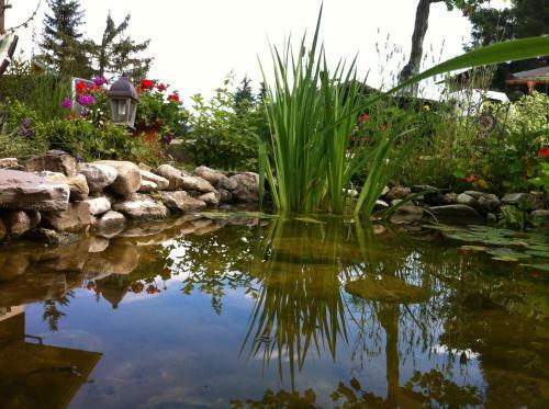Hostal G�stehaus Wildbach