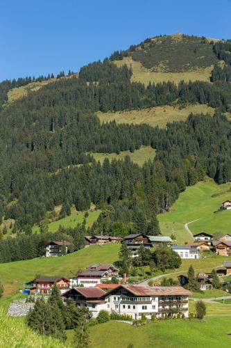 Hostal G�stehaus Wildbach