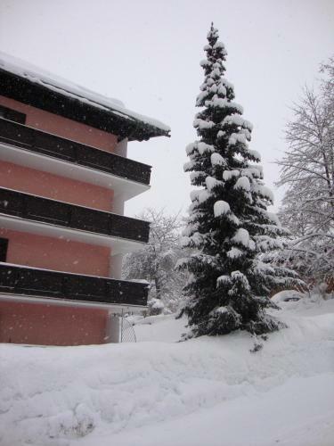 Apartamento Appartment Stepanek