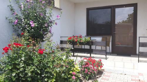 Bed & Breakfast Haus Helene