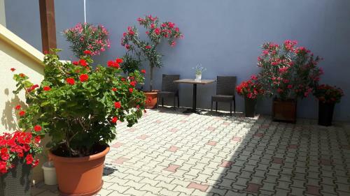 Bed & Breakfast Haus Helene