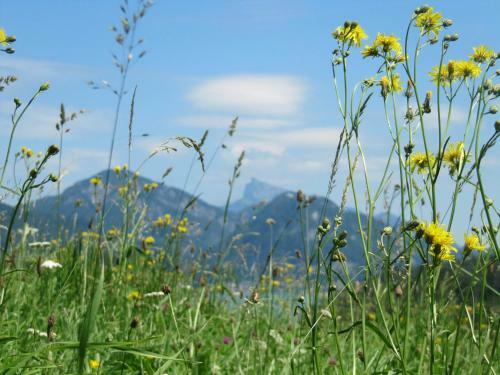 Agroturismo Bauernhof Unterh�fner