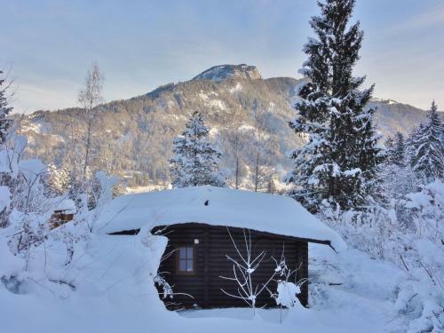 Comfortable Chalet In W Rgl Boden Near Ski Area