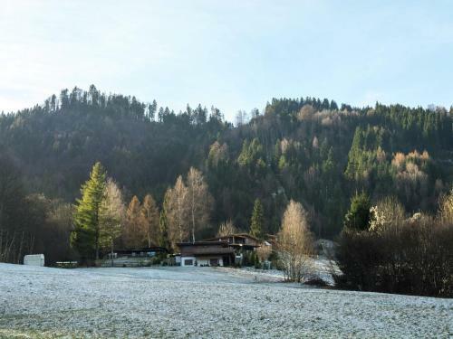 Comfortable Chalet In W Rgl Boden Near Ski Area
