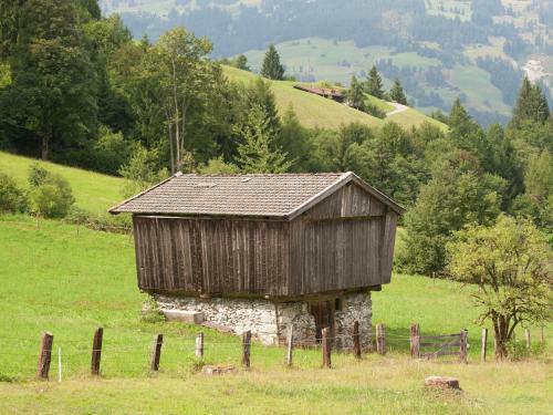 Comfortable Chalet In W Rgl Boden Near Ski Area