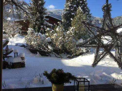 Apartamento G�stehaus Wildauer
