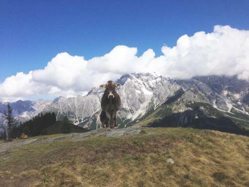 Maria Alm Studio Apartment