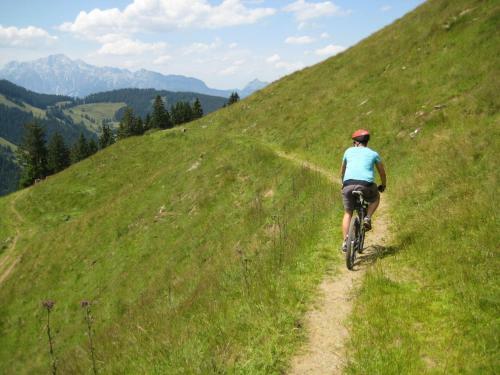Maria Alm Studio Apartment