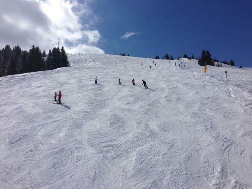 Maria Alm Studio Apartment