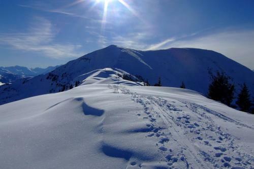 Maria Alm Studio Apartment