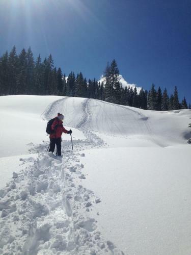 Maria Alm Studio Apartment