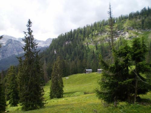 Apartamento Haus Bergblick