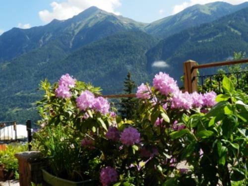 Apartamento Haus Machreich