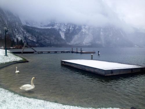 B&B Seehotel Am Hallst�ttersee