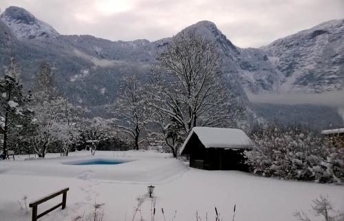 B&B Seehotel Am Hallst�ttersee
