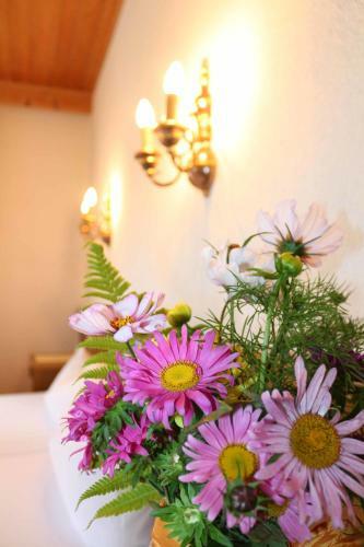 Hostal Pension Aloisl`s Harmonie