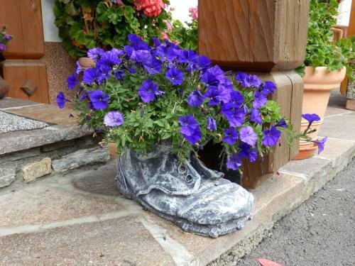 Hostal Haus Seebach
