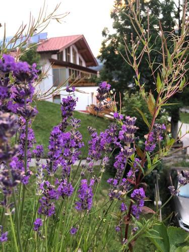 Apartamento Landvilla Romantika