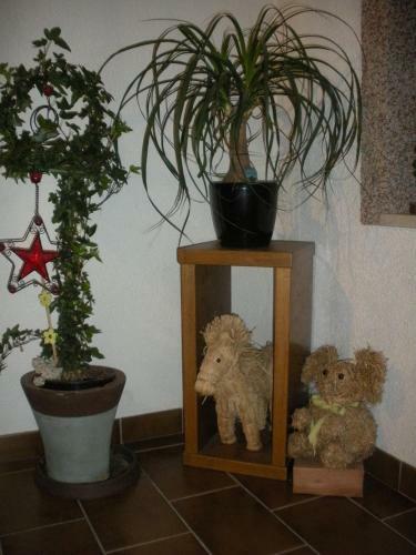Haus Margit