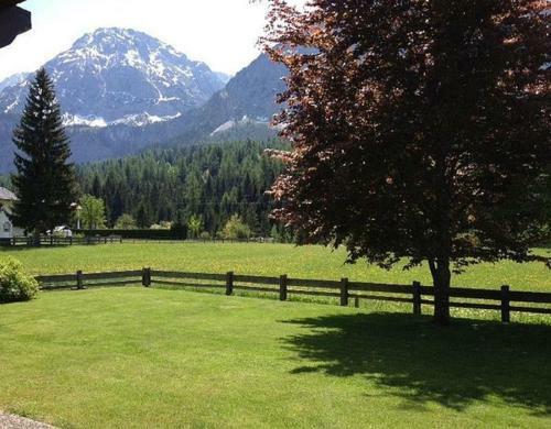 Apartmenthaus L�rchenhof