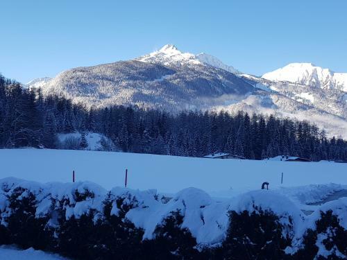 Apartmenthaus L�rchenhof