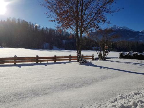 Apartmenthaus L�rchenhof