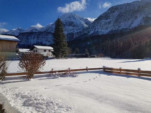 Apartmenthaus L�rchenhof